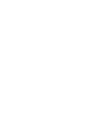Logo Smart Blanc